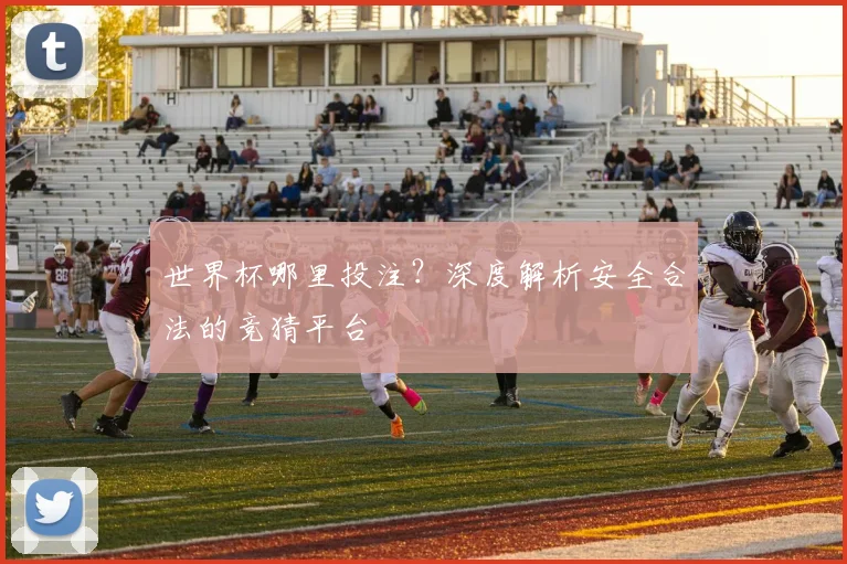 世界杯哪里投注?深度解析安全合法的竞猜平台