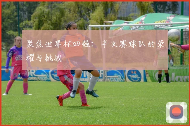 聚焦世界杯四强：半决赛球队的荣耀与挑战