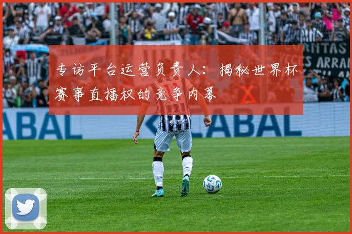 专访平台运营负责人:揭秘世界杯赛事直播权的竞争内幕