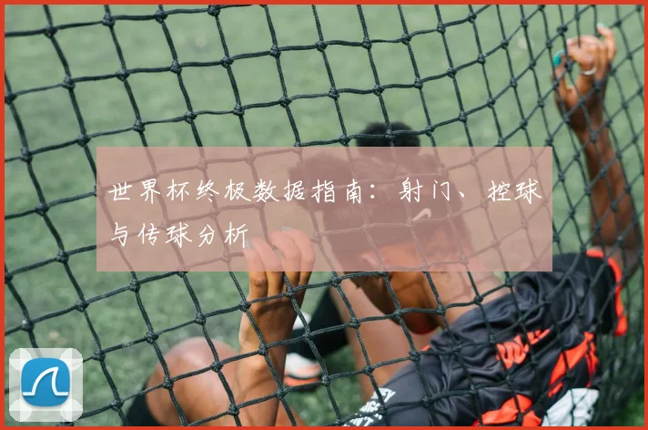 世界杯终极数据指南:射门、控球与传球分析