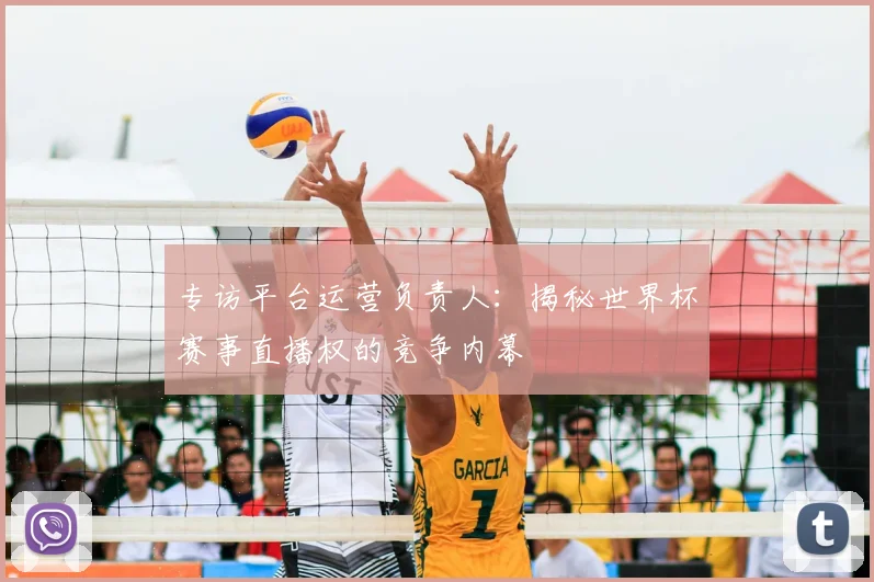 专访平台运营负责人:揭秘世界杯赛事直播权的竞争内幕