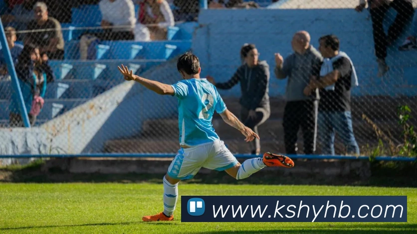 亚搏app注册官网平台生态图