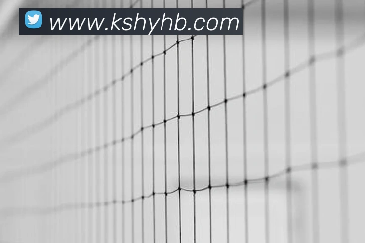 亚搏app注册官网全站App